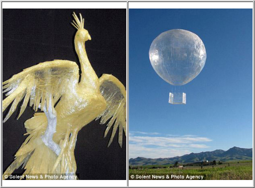 Con công và quả cầu băng dính