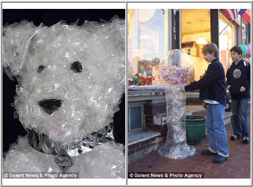 Một chú chó trắng và một trò chơi của thiếu nhi