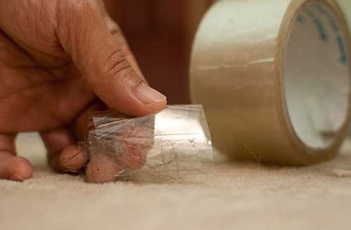 băng dính hút lông