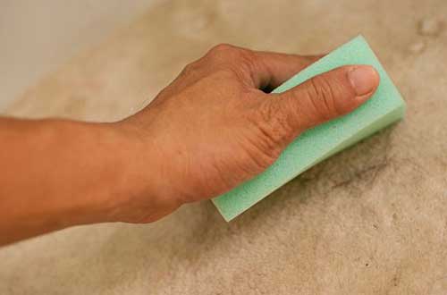 5 cách tẩy sạch lông chó mèo trên đồ đạc