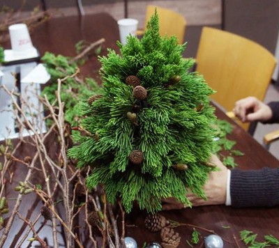 tự chế cây thông noel dễ dàng và đẹp mắt