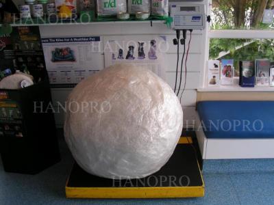 Kỷ lục thế giới với quả bóng bằng băng dính ở New Zealand