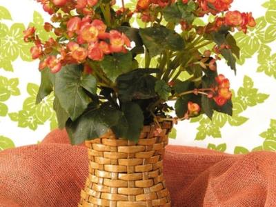 Chế lọ hoa độc đáo từ giấy báo cũ